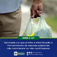 AGORA É LEI: Aprovada Lei que proíbe a distribuição e fornecimento de sacolas plásticas não recicláveis ou não reutilizáveis
