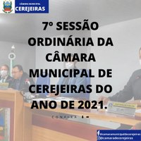 7° Sessão Ordinária/ 29-03-2021, décima legislatura.